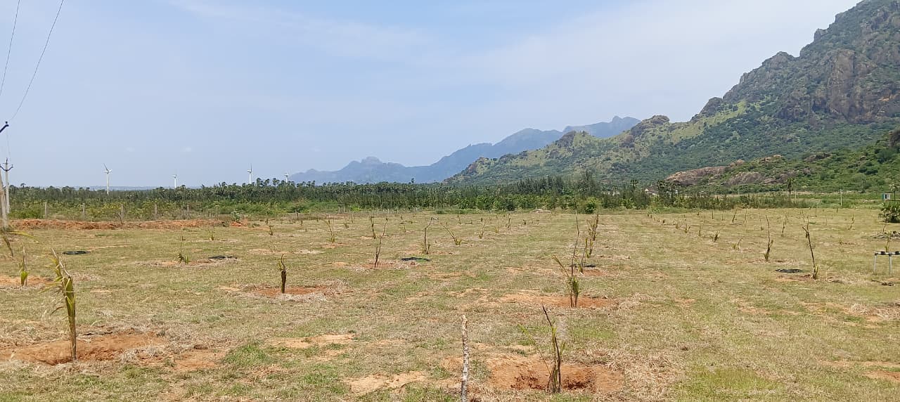 senbagaramanpudur-rubber-boongaa-nilam-vivasayigalukku-opadathiduga