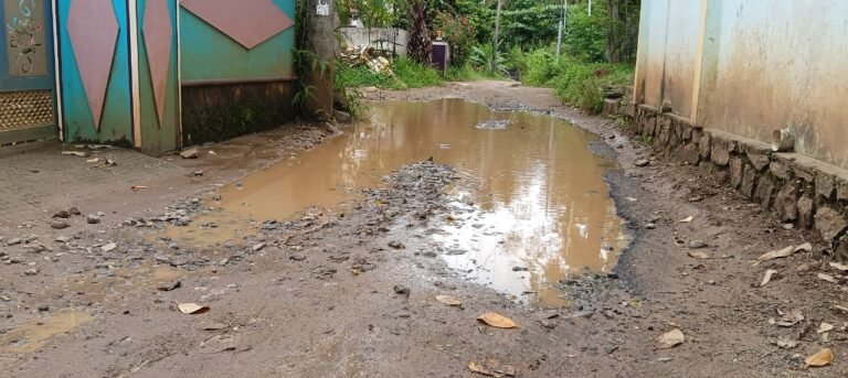 குண்டும் குழியுமாய் காட்சியளிக்கும்கண்டன் விளை- மேல்பாறை சாலை