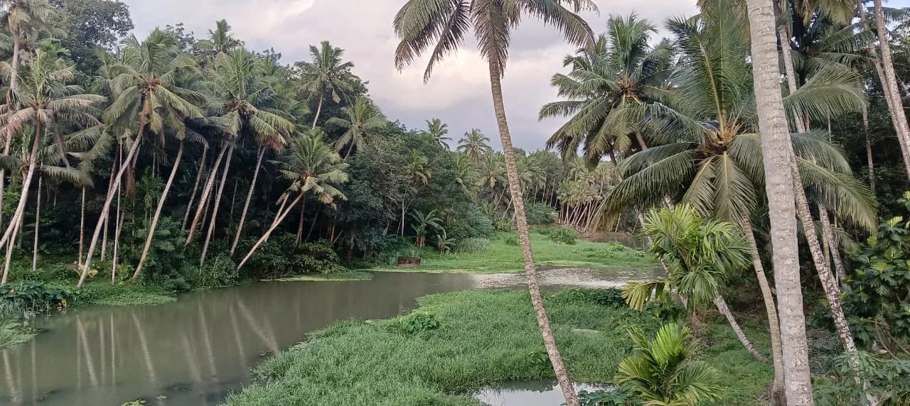 paraliyaru-river-encroachment-complaint-2025