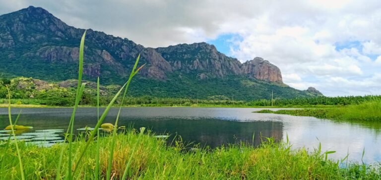 பேருந்து வசதி இல்லாமல் நடையாய் நடக்கும் தெள்ளாந்தி மக்கள்