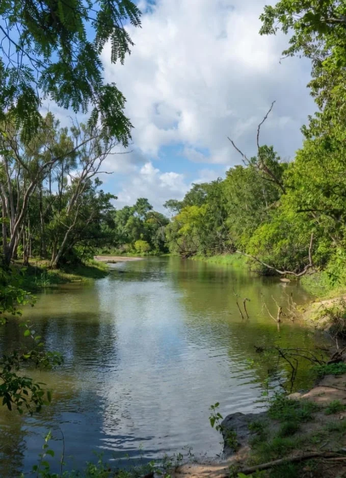 Environmental activists inspecting sewage contamination in Pazhayaru