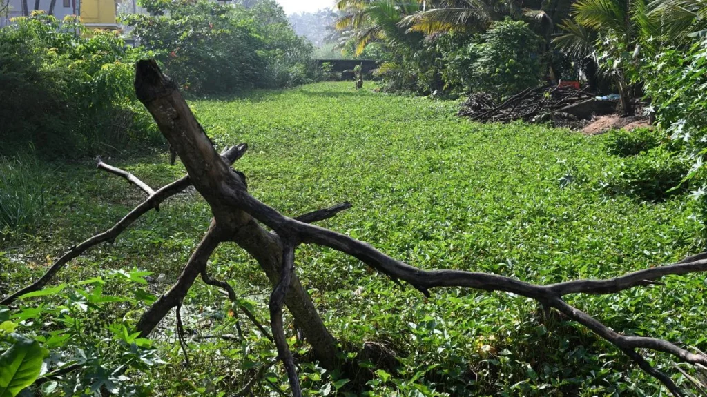 Encroachments in Kumari turning canal into drain