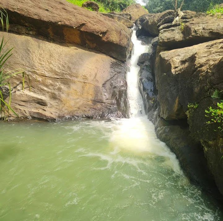 Social welfare movement accusing the government regarding the rejection of the Mullaiyaru dam proposal