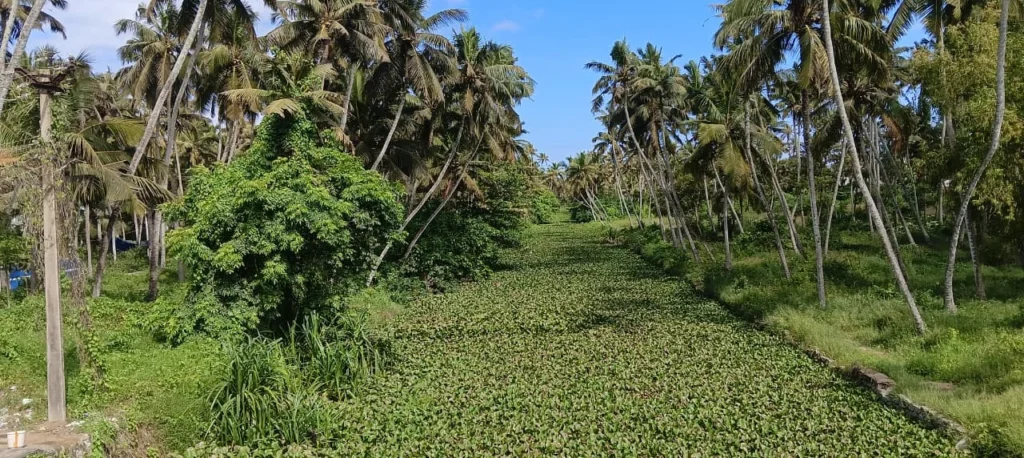 Water channel encroachment issue in Kumari