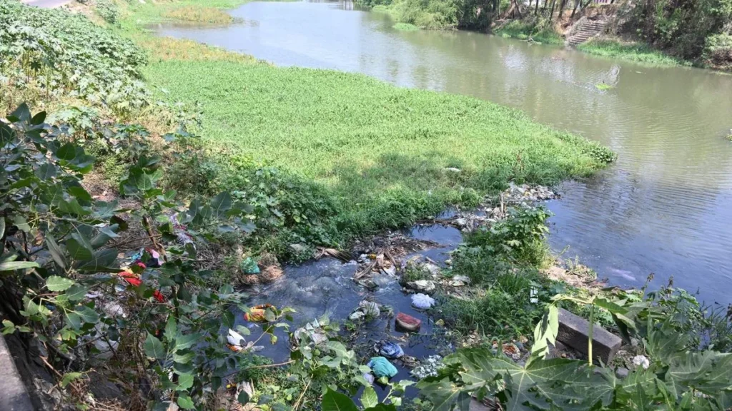 Public welfare group filing complaint over river pollution