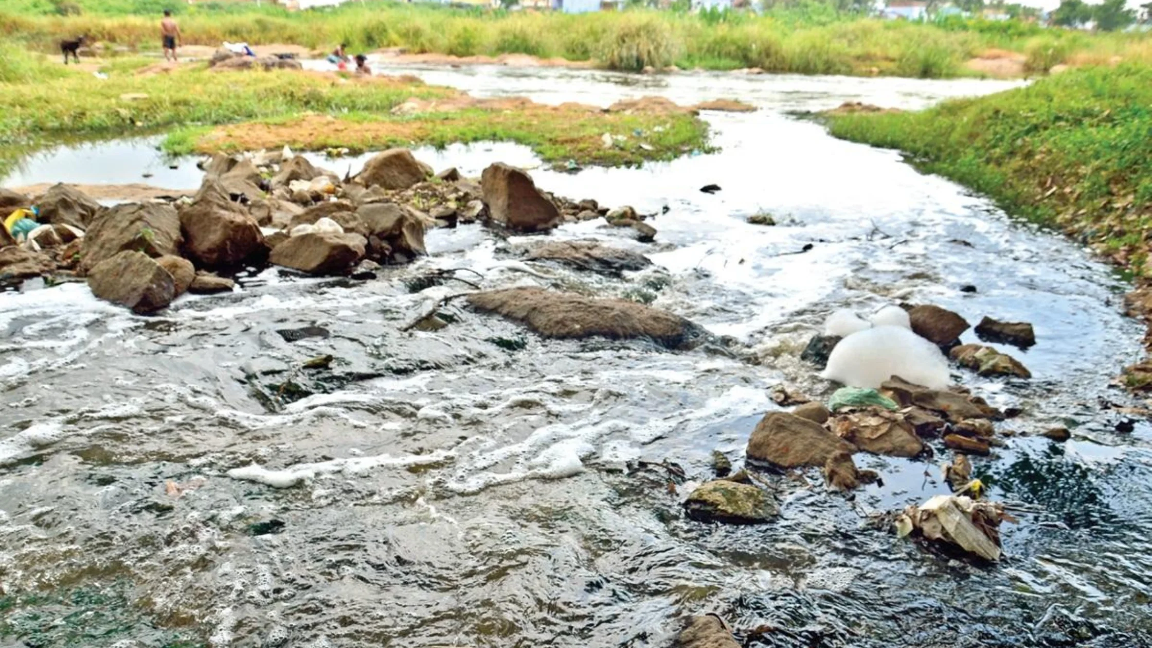 Thamiraparani river polluted by sewage and samuga pothunala iyakkam raising allegations