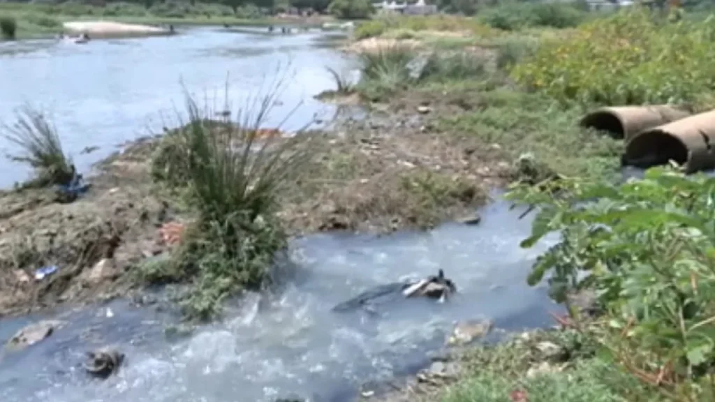 கழிவுநீர் கலப்பால் மாசடைந்த தாமிரபரணி ஆறு