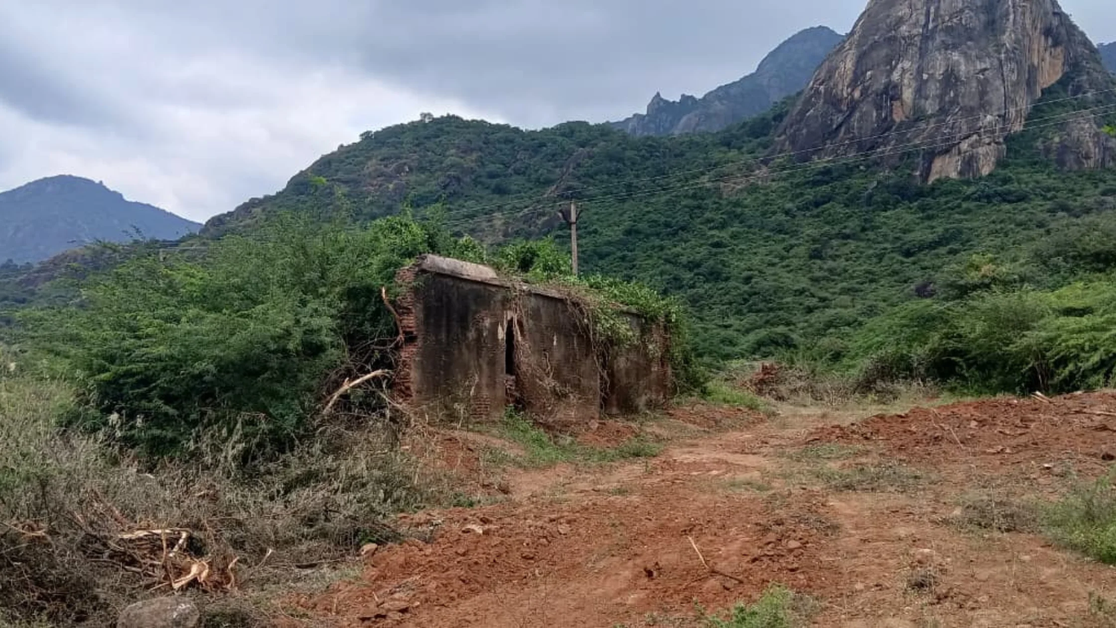 Neglected ancient Aralvaimozhi fort covered by bushes, highlighted by the Social Welfare Movement