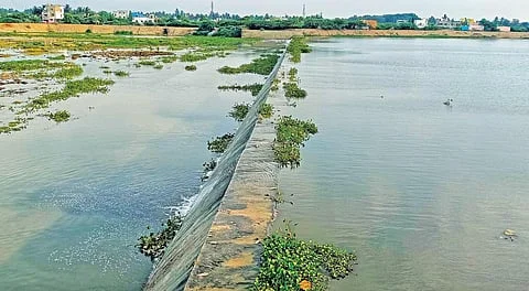 Public Welfare Movement’s Accusation Regarding the Pollution of Kedilam River by Sewage Water.