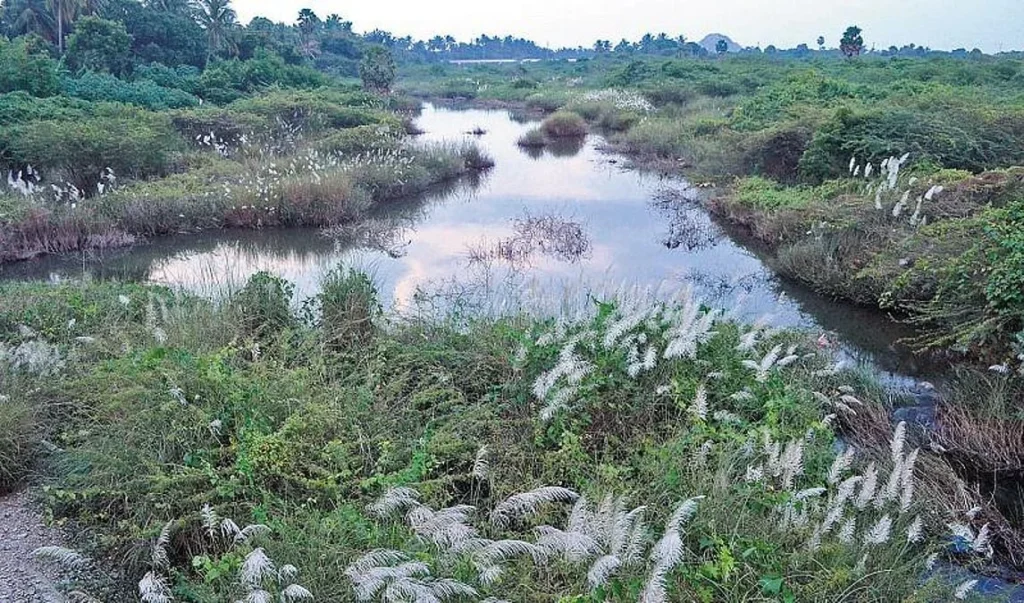 Nambiyar river buried due to illegal sand mining, public welfare movement complaint