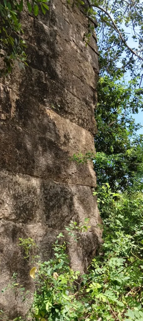 Kandukkolladha nilaiyil pudharukkul pudhaindha pazhangkaala Aralvaimozhi kottai patri Samooga Podhunala Iyakkam veliyitta pugaar