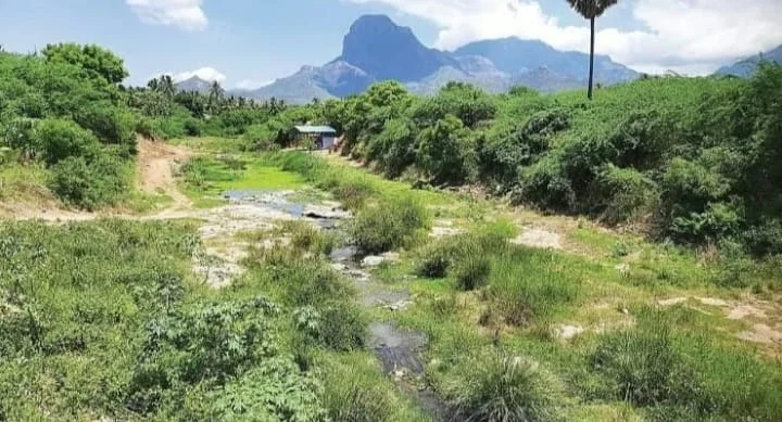 Manal kollaiyala pudaikkappatta Nambiyaru, samuga pothunala iyakkam kuttrachaatu