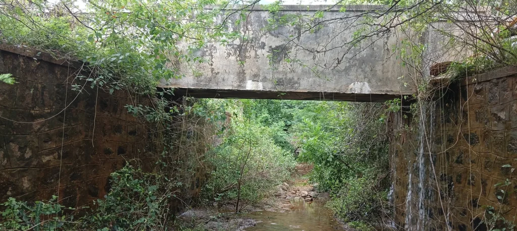 Poigai Anai irrigation canal remains unmaintained, leading to water wastage and farmer distress. Social welfare movement raises complaint.