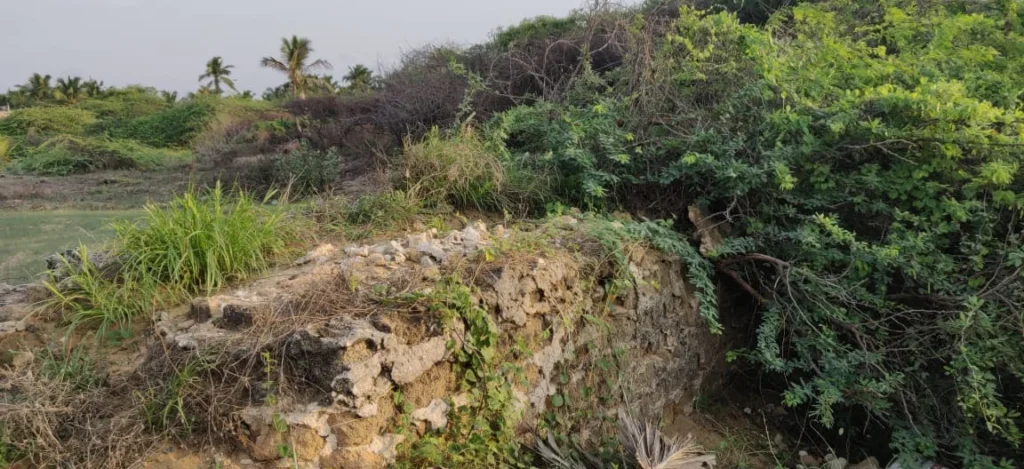 Vanishing Historical Traces of Venkalarajan Fort in Kanyakumari District - Social Welfare Movement Complaint