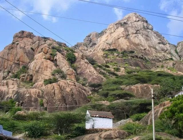 Marundhu Vaazhmala hill climbing inclusion urged by social welfare movement