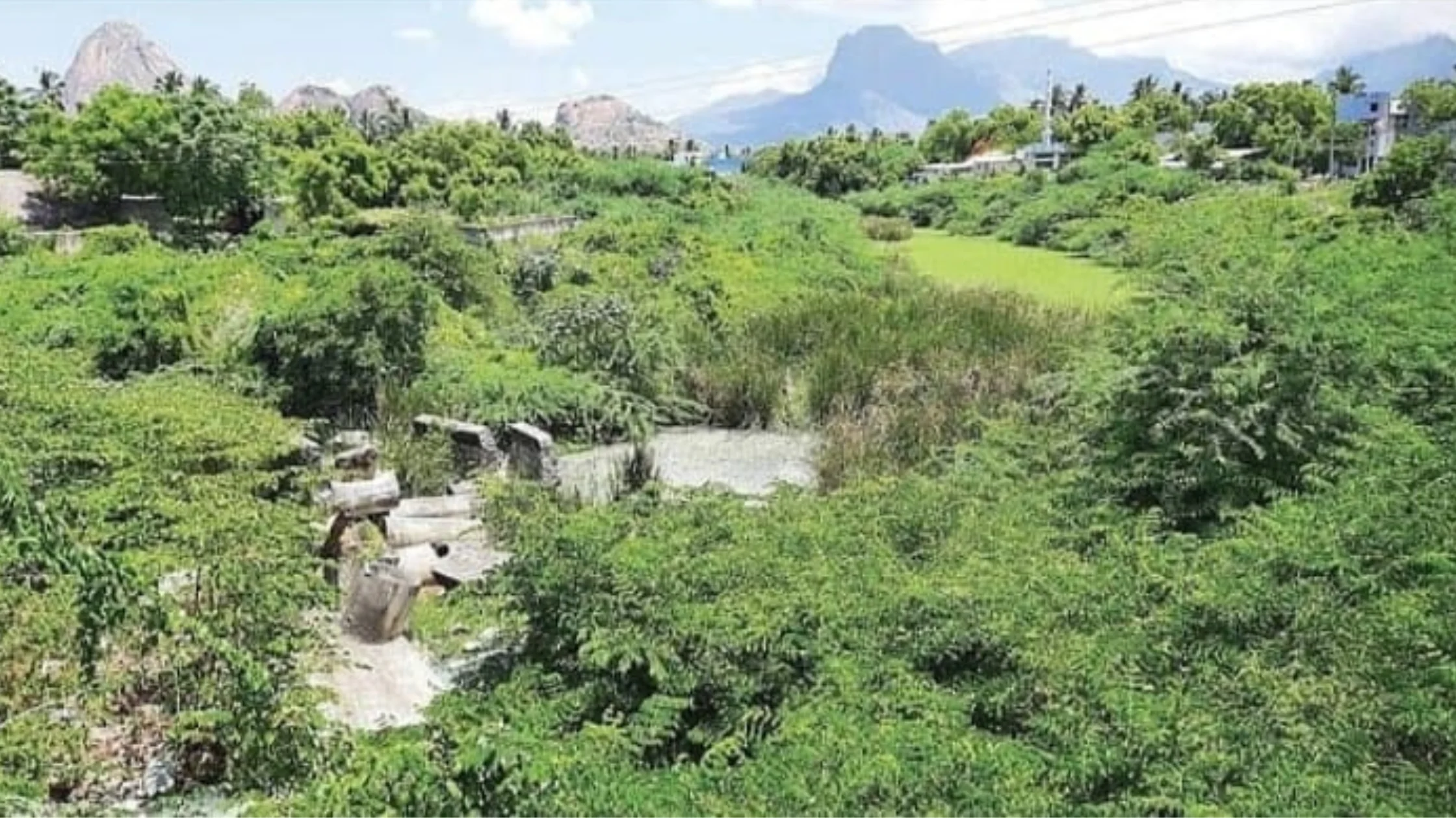 Nambiyaru river buried by sand theft, social welfare movement accusation