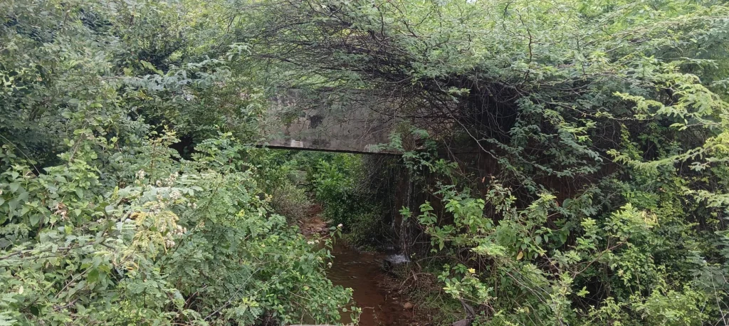 பொய்கை அணையில் சீரமைக்காத பாசன கால்வாயால் வெள்ள நீர் வீணாகி வருகிறது.
விவசாயிகள் கடும் வேதனையில். நீர் இருக்கிறது… ஆனால் பாசனம் இல்லை!
பொய்கை அணை விவசாயிகள் கண்ணீர்