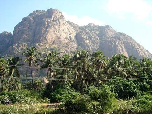 Petition submitted to authorities requesting inclusion of மருந்து வாழ்மலை﻿ in the official hill climbing list by the சமூக பொதுநல இயக்கம்﻿