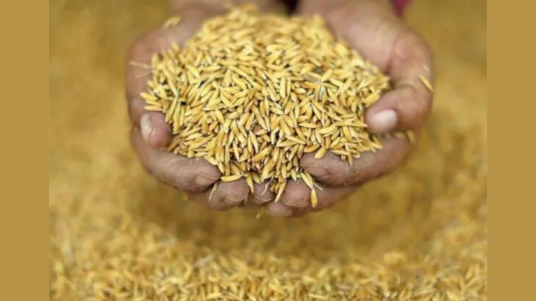 விவசாயிகளின் உரிமையைப் பறிக்கும் விதை மசோதா- சமூக பொதுநல இயக்கம் எதிர்ப்பு.