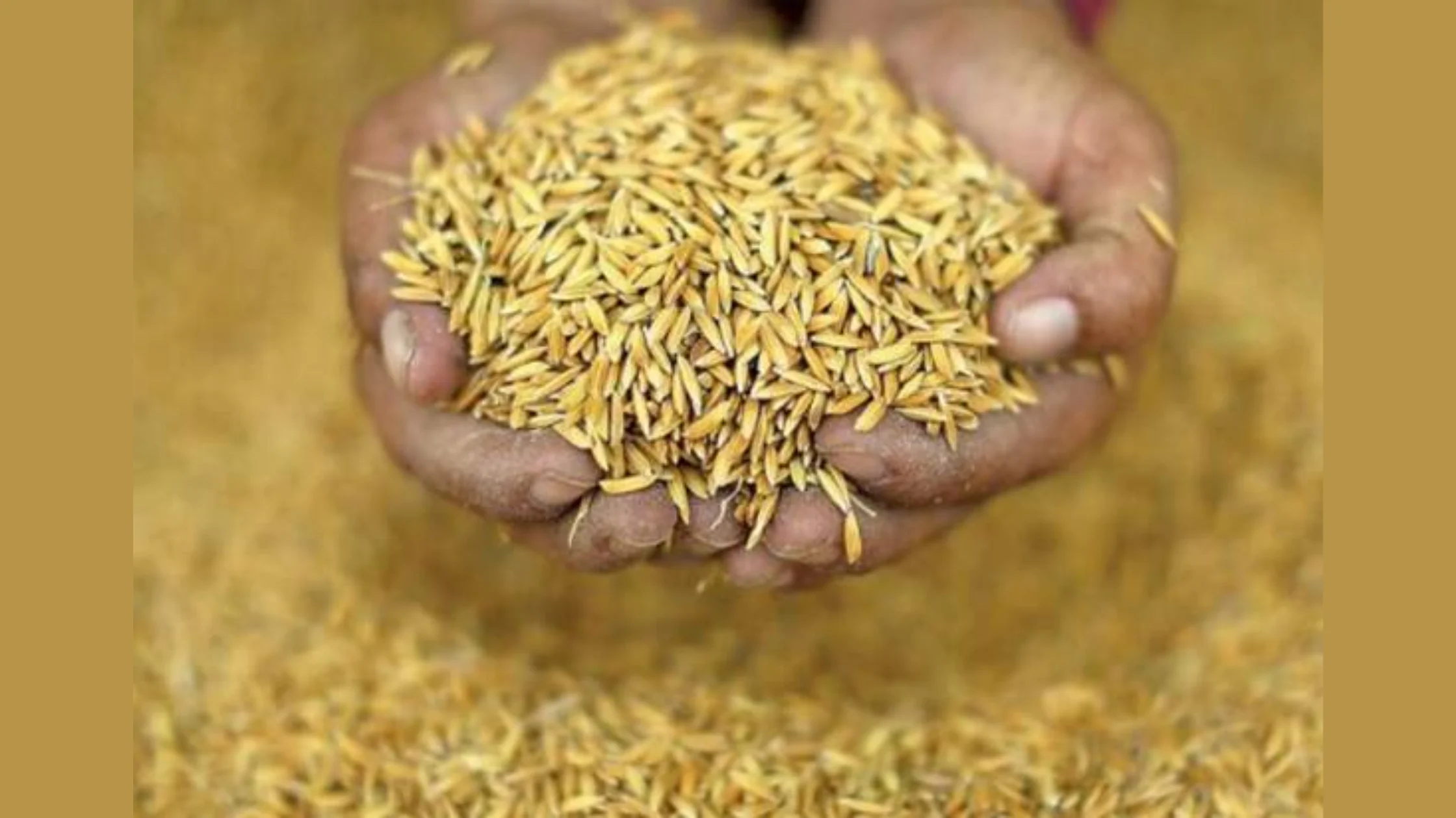 Social Welfare Movement's Protest Against the Seed Bill that Strips Farmers' Rights.