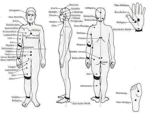 When Will the Siddha Varma Multispeciality Hospital Project in Kumari District Start? Social Welfare Movement’s Question