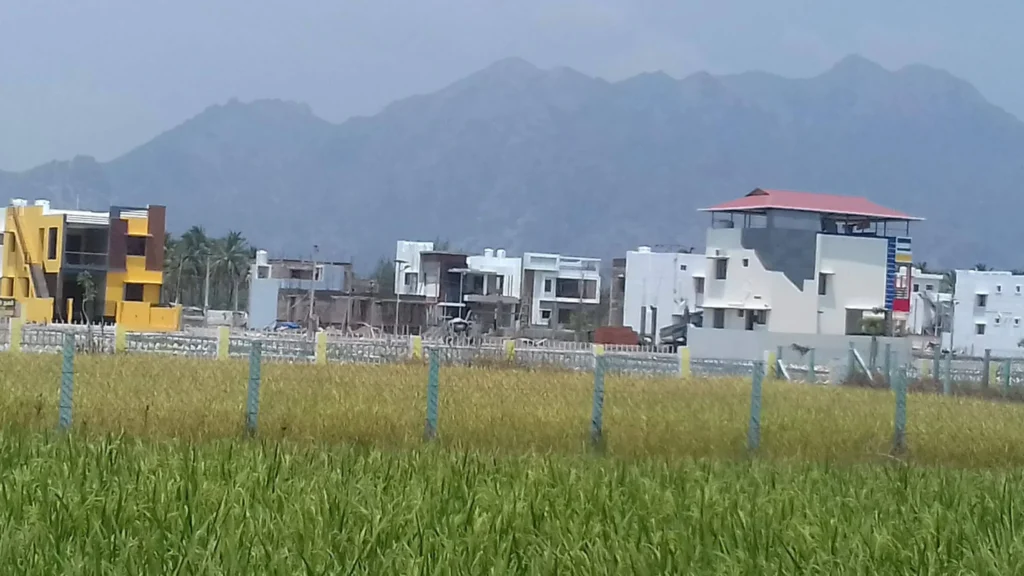 குமரி மாவட்ட விவசாய நிலங்கள், நாஞ்சில் நாடு விவசாயம், விளைநிலங்கள் வீட்டு மனைகள்