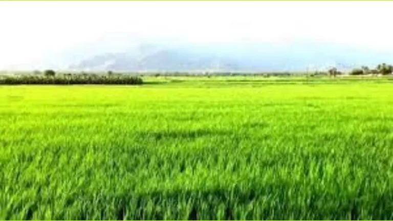 தமிழ்நாட்டில் இனாம் நில பிரச்னைக்கு தீர்வுகாண தனி ஆணையம் அமைக்க வேண்டும் – சமூக பொதுநல இயக்கம் வலியுறுத்தல்.