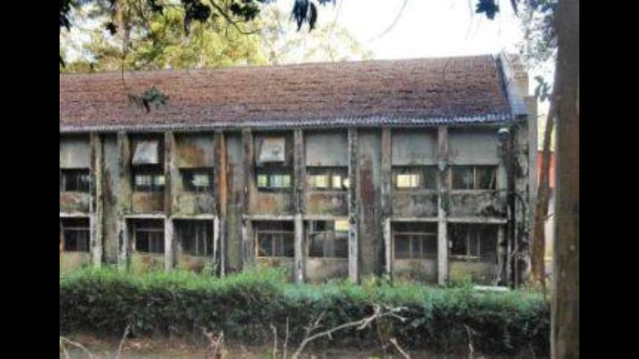 கொடைக்கானலில் பாதரச மாசால் பாதிக்கப்பட்ட சுற்றுச்சூழல் பகுதி