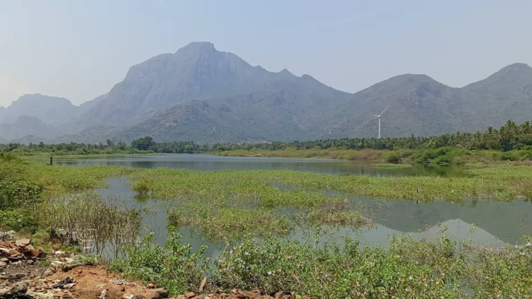 ஆரல்வாய்மொழி அருகே உள்ள பொய்கைகுளத்தில் கரை அபகரிப்பு காரணமாக குளம் உடையும் அபாயம் குறித்து புகார்