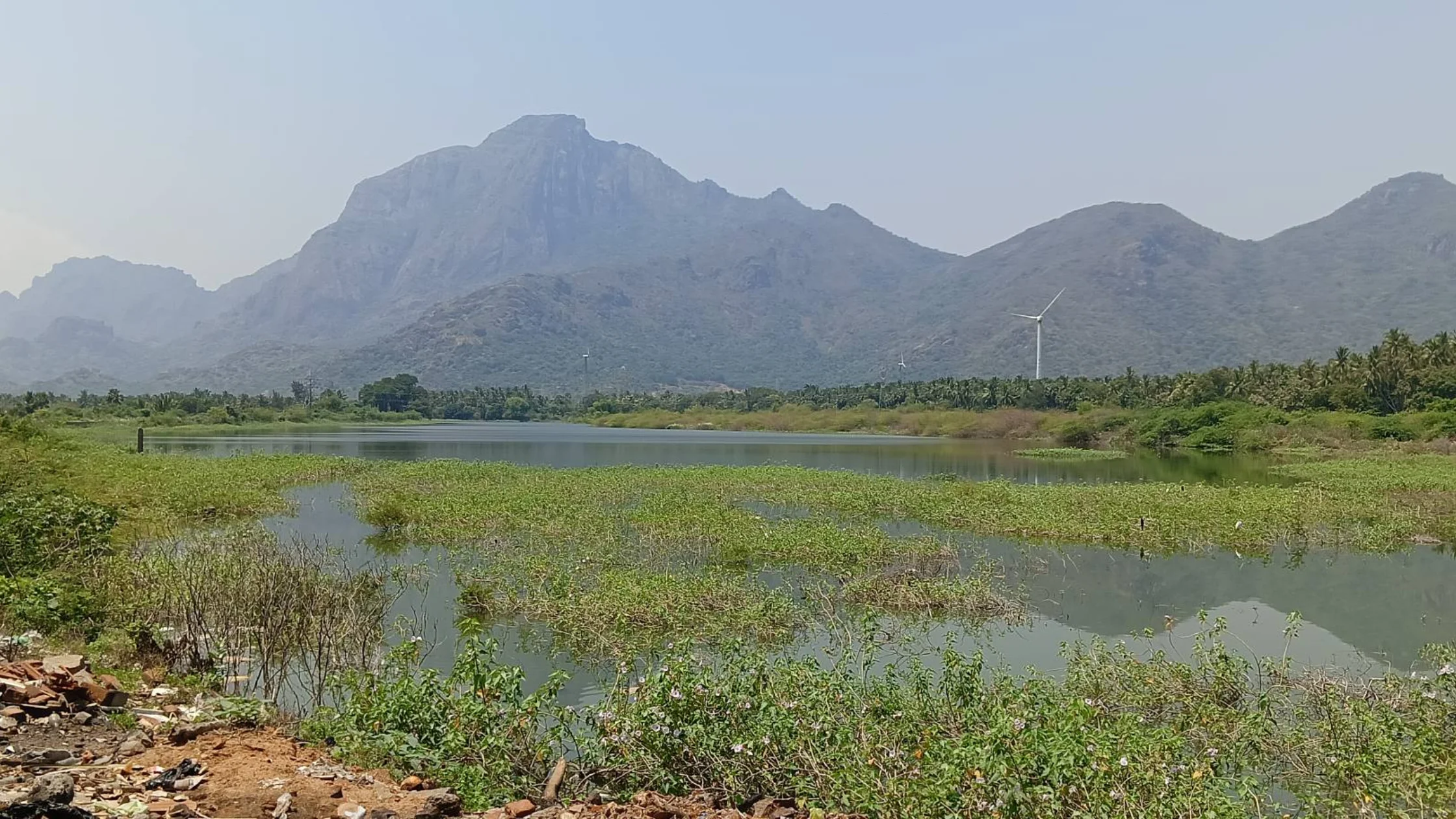 ஆரல்வாய்மொழி அருகே உள்ள பொய்கைகுளத்தில் கரை அபகரிப்பு காரணமாக குளம் உடையும் அபாயம் குறித்து புகார்