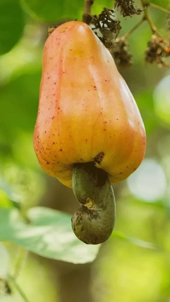 அரியலூர் விவசாய செய்திகள்