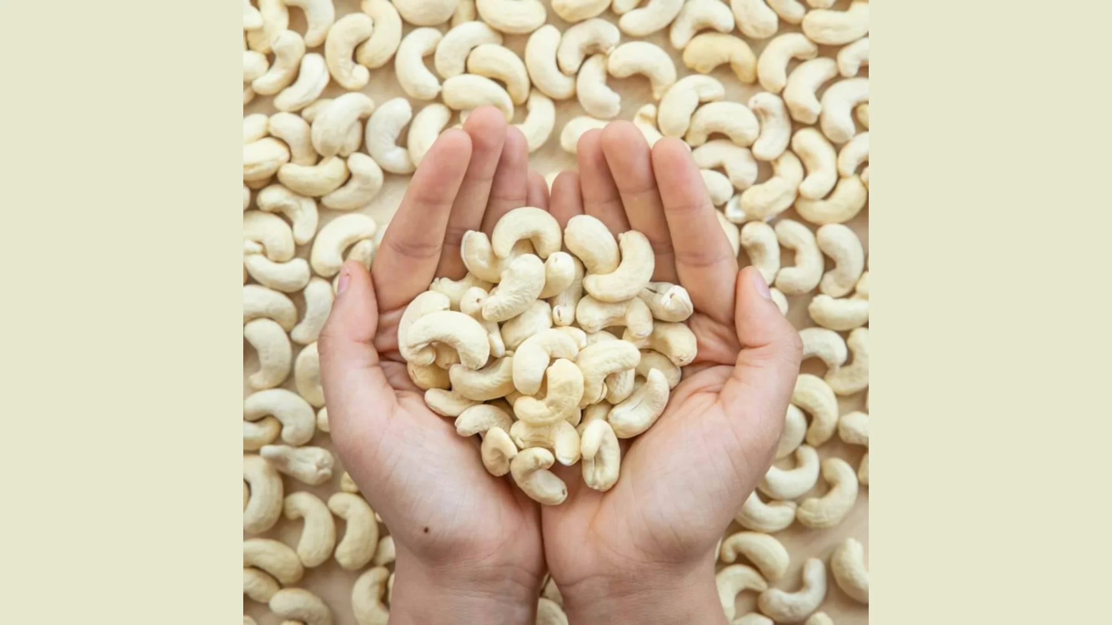 அரியலூரில் முந்திரி விவசாயிகள் மற்றும் தொழிற்சாலை தேவையை காட்டும் படம்