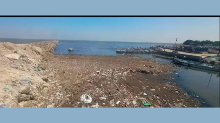 தூத்துக்குடியில் கழிவுநீர் கால்வாயாகிப்போன பக்கிள் ஓடையால் நிர்மூலமாகி வரும் கடல்வளம்- சமூக பொதுநல இயக்கம் குற்றச்சாட்டு.
