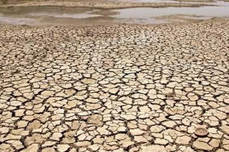 கரூர் மாவட்ட செய்திகள்