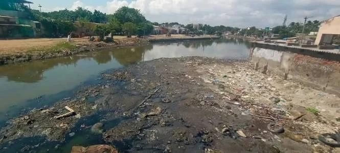 தூத்துக்குடி சுற்றுச்சூழல் செய்திகள்