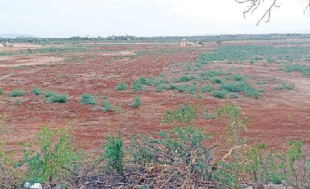 கரூர் பஞ்சப்பட்டி ஏரி 25 ஆண்டுகளாக வறண்டு கிடப்பு – விவசாயிகள் கடும் அவதி