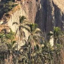 குமரி மாவட்ட செய்திகள்