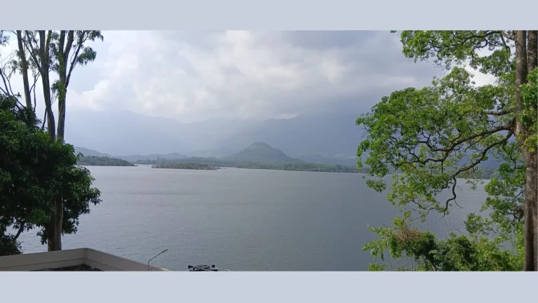கடைமடை வரை வராத தண்ணீர் – குமரி விவசாயிகள் கண்ணீர் – சமூக பொதுநல இயக்கம் புகார்.