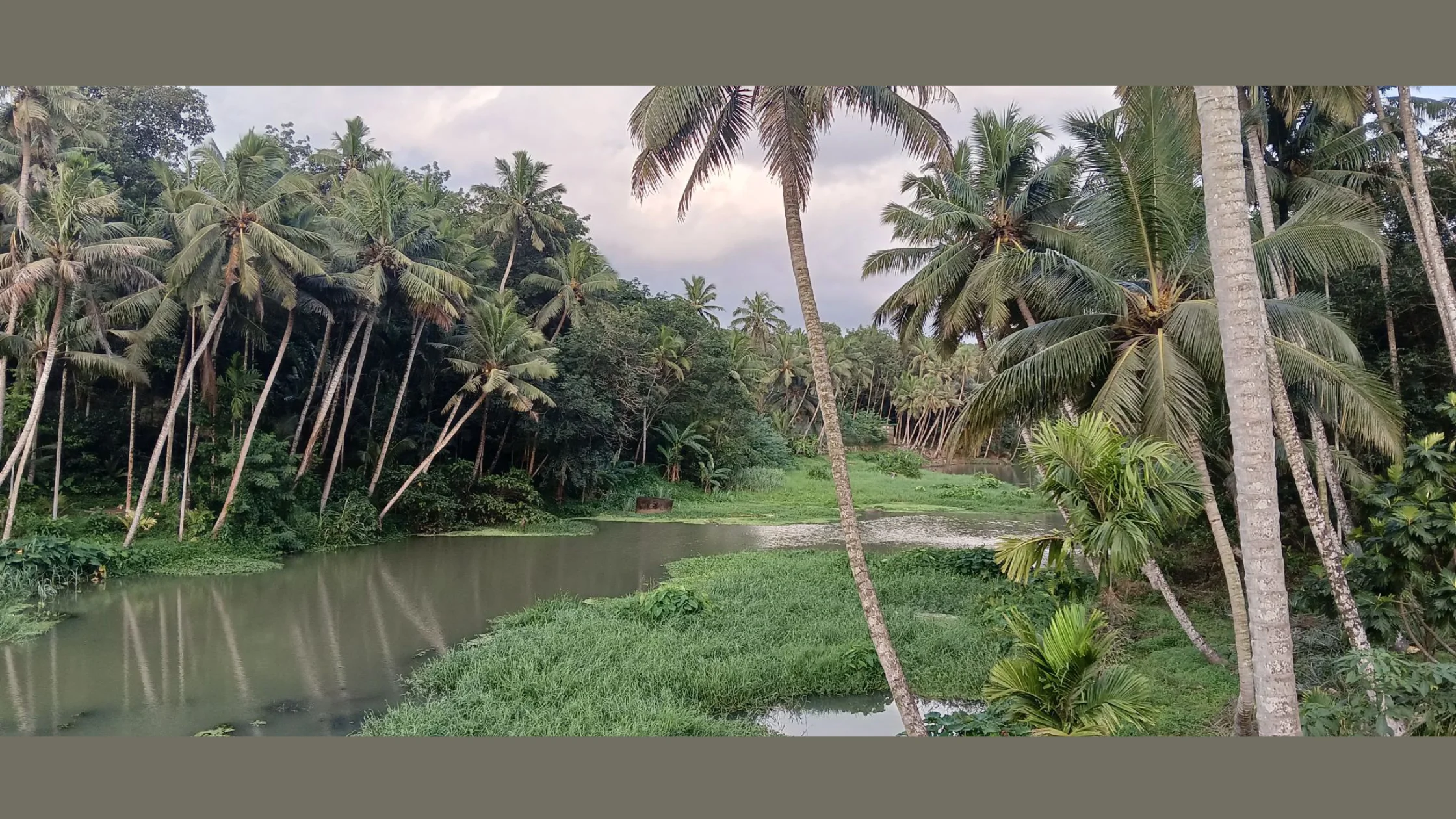 குமரி மாவட்டத்தில் நீர்வள பாதுகாப்பிற்கான தடுப்பணை அமைப்பு
