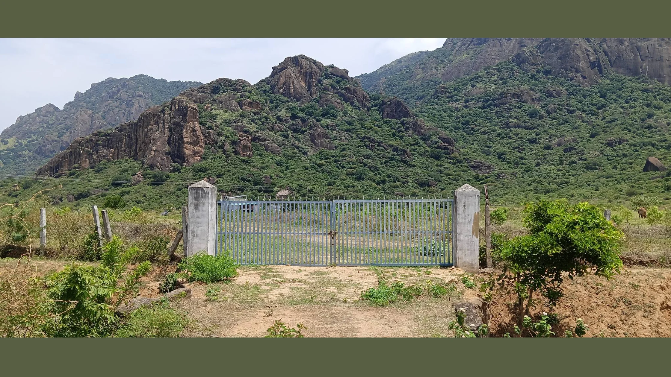 குமரி மாவட்டத்தில் அறிவிக்கப்பட்டு நீண்டகாலமாக நிலுவையில் உள்ள ரப்பர் பூங்கா திட்டம்