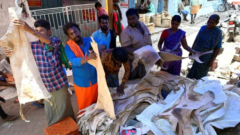 பாரம்பரிய பெருமைமிக்க காரியாபட்டி தோப்பறைக்கு புவிசார் குறியீடு வழங்க வேண்டும் – சமூக பொதுநல இயக்கம் வலியுறுத்தல்-