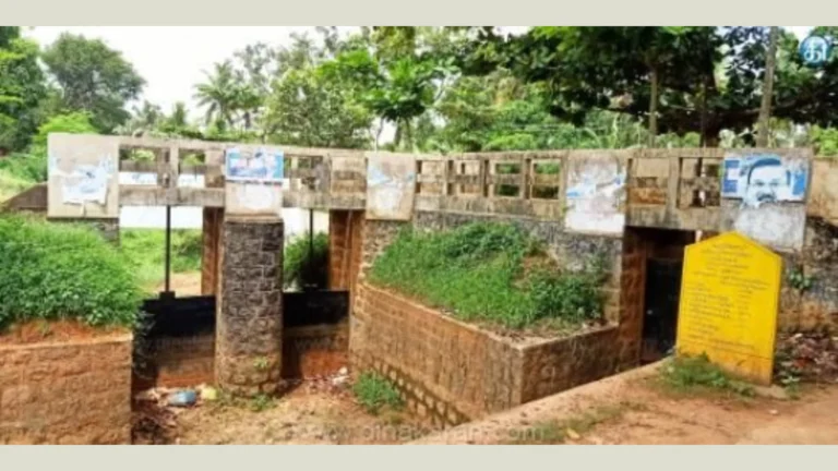 21 ஆண்டுகாலமாக முடங்கிய நெய்யாறு இடதுகரை கால்வாய் – விவசாயிகள் பரிதவிப்பு- சமூக பொதுநல இயக்கம் குற்றச்சாட்டு.