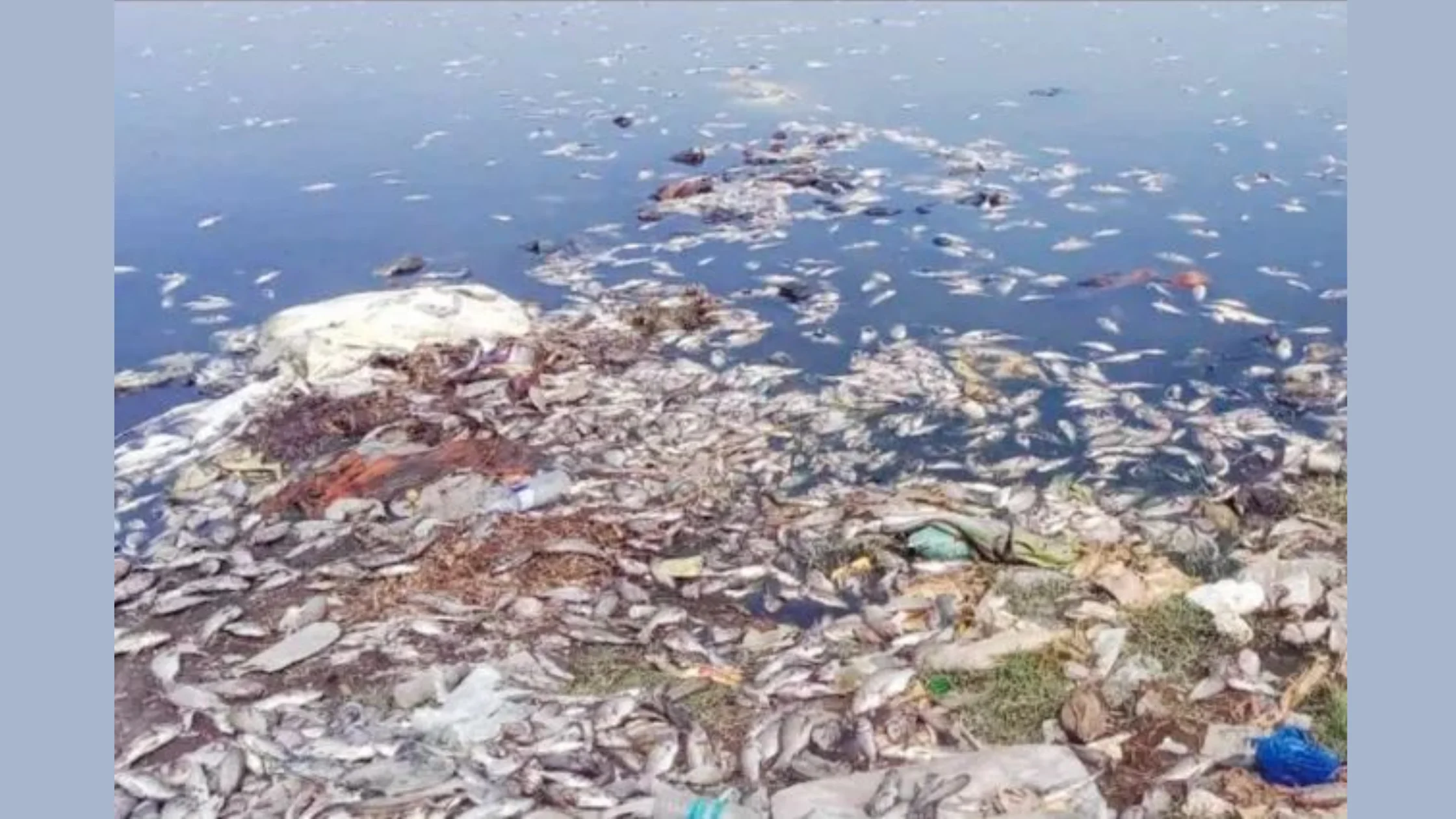 சேலம் மாவட்டத்தில் தொழிற்சாலை கழிவுகளால் மாசுபட்ட நீர் மற்றும் அதன் விளைவுகள்