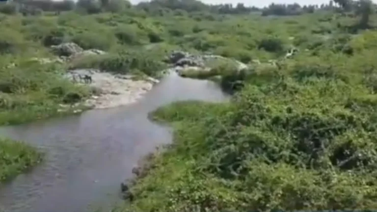 சேலம் மாவட்டத்தில் மாசடைந்த வசிஷ்ட நதி மற்றும் அதன் சுற்றுச்சூழல் பாதிப்பு