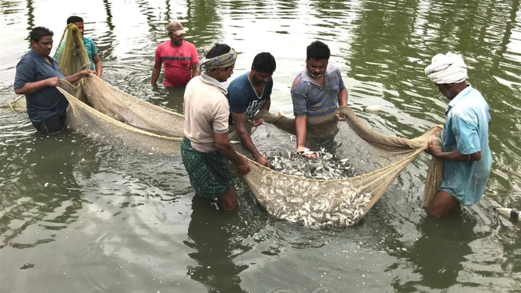 குமரி மாவட்ட மீனவர் கூட்டுறவு சங்க வாக்காளர் பட்டியலில் குளறுபடி