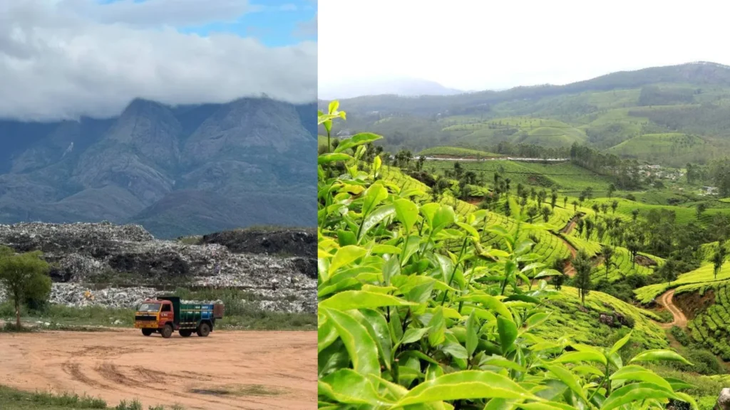 மேகமலை அடிவாரத்தில் குவிந்துள்ள குப்பைகள் மற்றும் சுற்றுச்சூழல் பாதிப்பு