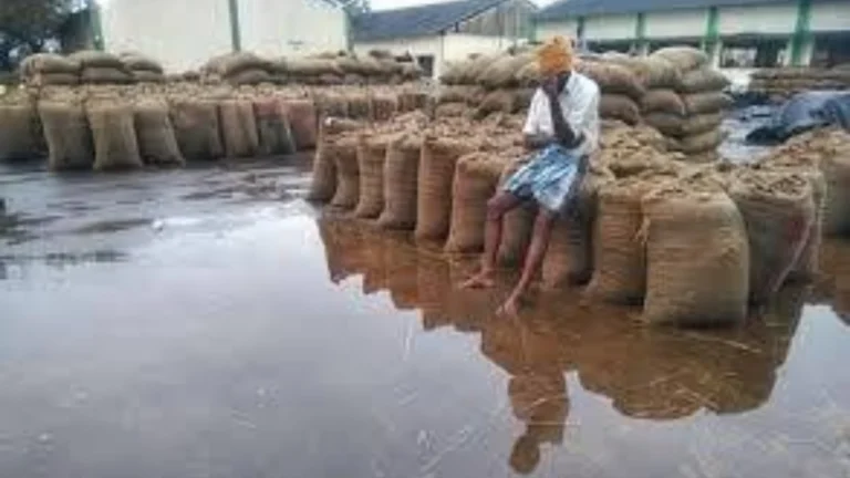 மழையில் சேதமடைந்த நெல் மூட்டைகள் காரணமாக விவசாயிகள் இழப்பு