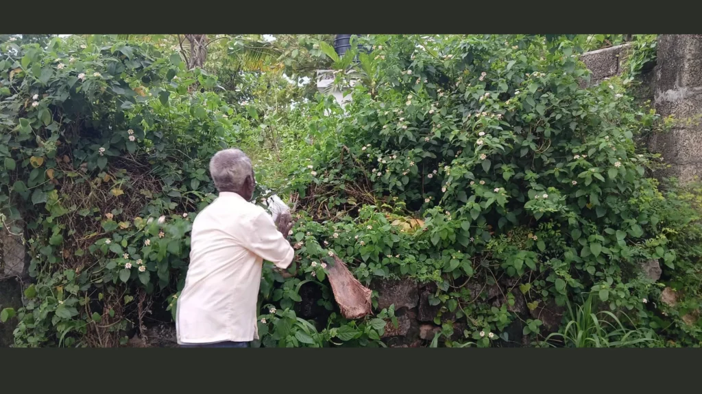 ஆக்கிரமிப்பால் மறைந்து போன வில்லுக்குறி அருகேயுள்ள பொதுமக்கள் பயன்படுத்திய குடிநீர் கிணறு