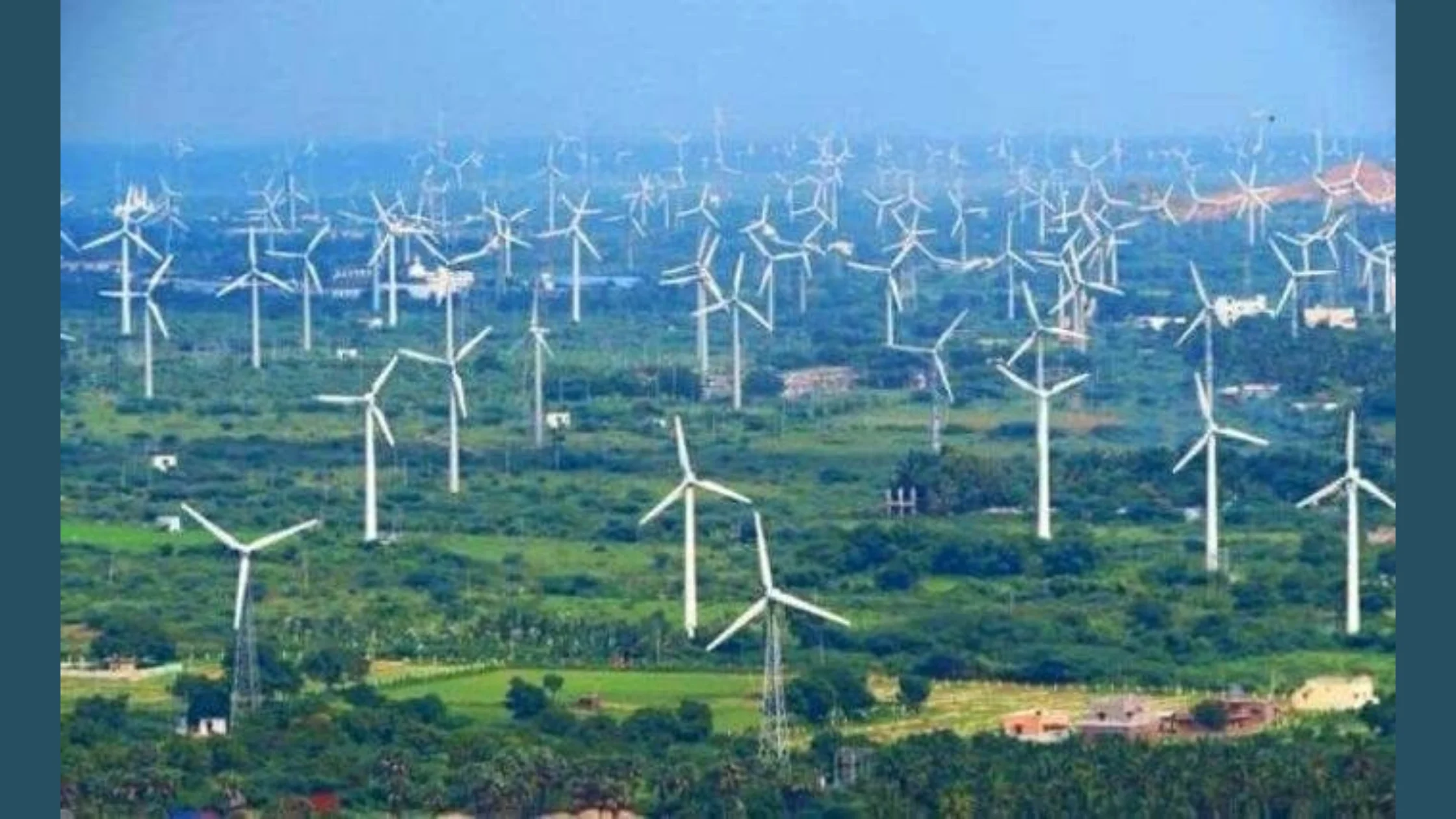 காற்றாலை இறக்கைகளில் கருப்பு வர்ணப்பூச்சு மூலம் பறவைகள் மோதலைத் தடுக்கும் முயற்சி