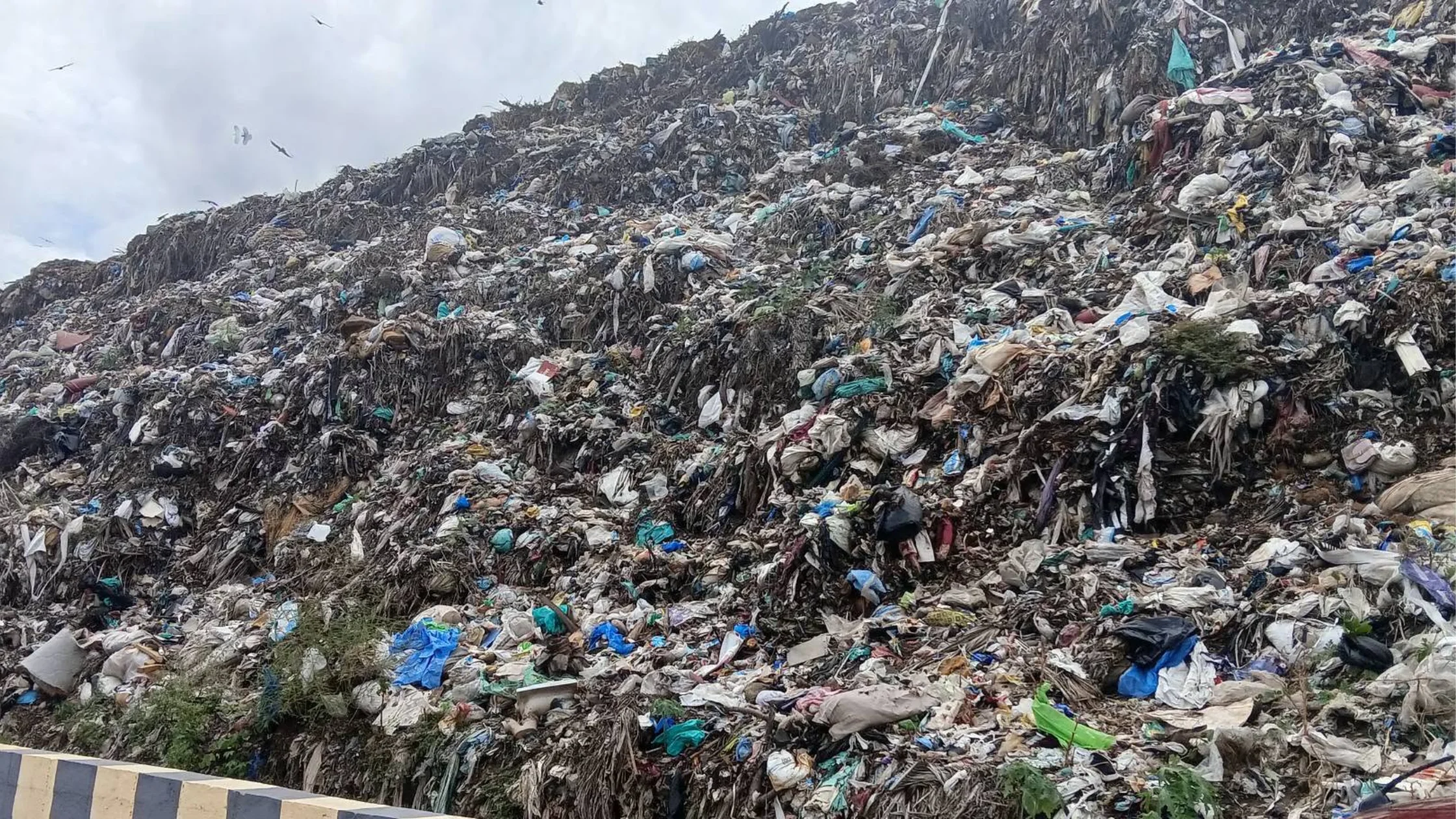 தமிழ்நாட்டில் குப்பைக் கழிவுகளை பயன்படுத்தி உயிரி எரிவாயு தயாரிக்கும் Bio-CNG ஆலைகள் அமைக்க கோரிக்கை